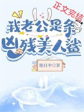 《我的老公是黑帝》