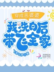 穿越成恶婆婆小说