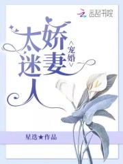 甜宠娇妻太撩人