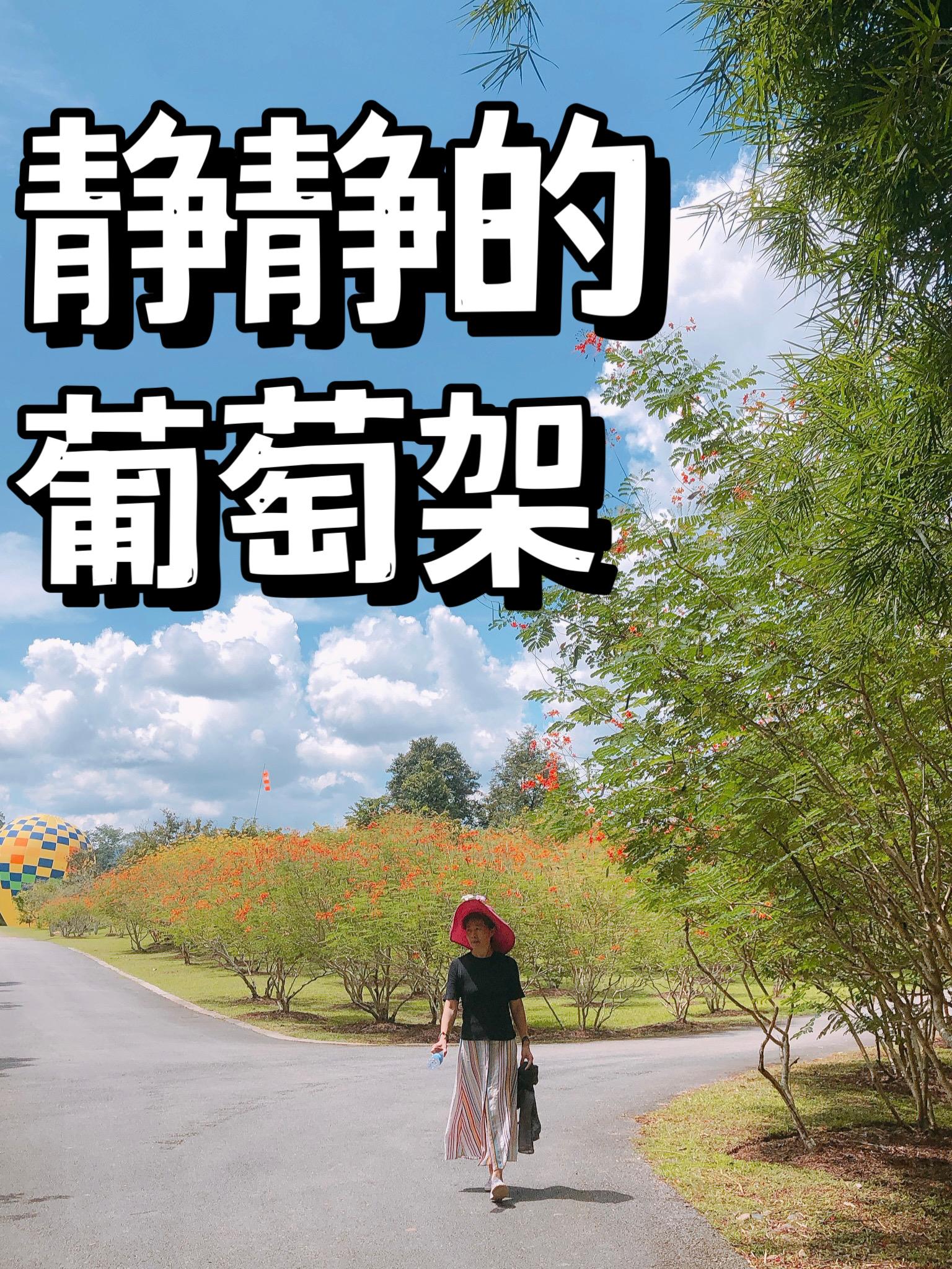 静静的合租日记