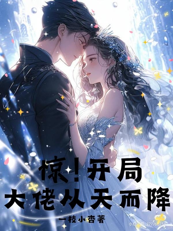 从大佬开局 小说
