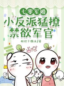人家吃糠我吃肉随军过上好日子小说