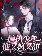 偏执少年他又疯又甜百度云