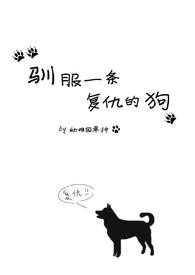 驯服了复仇的鬣狗