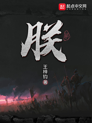 朕的国战