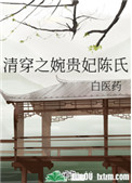 清穿之婉贵妃陈氏63